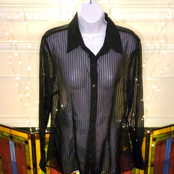 Express Tops - Vintage EXPRESS Black w/ Black Stripe Sheer Long Sleeve Blouse, NWT, size Large